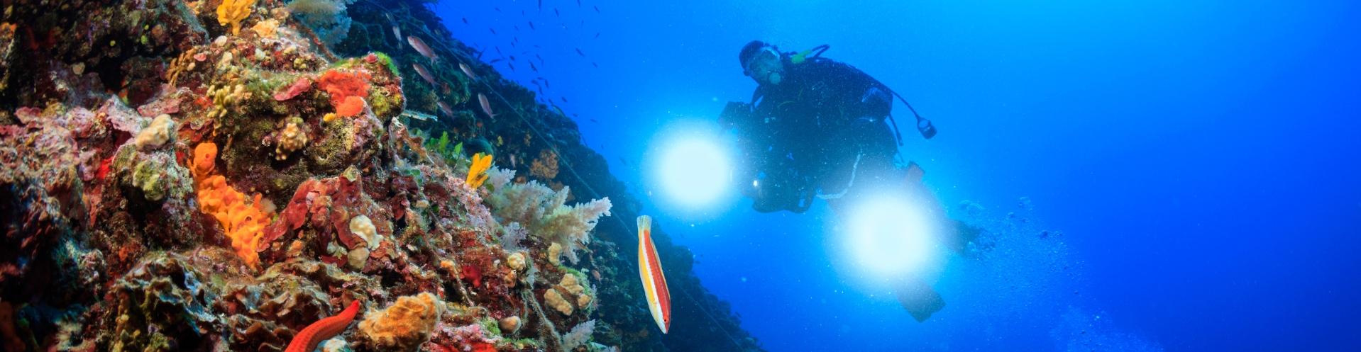 Photo sous marine
